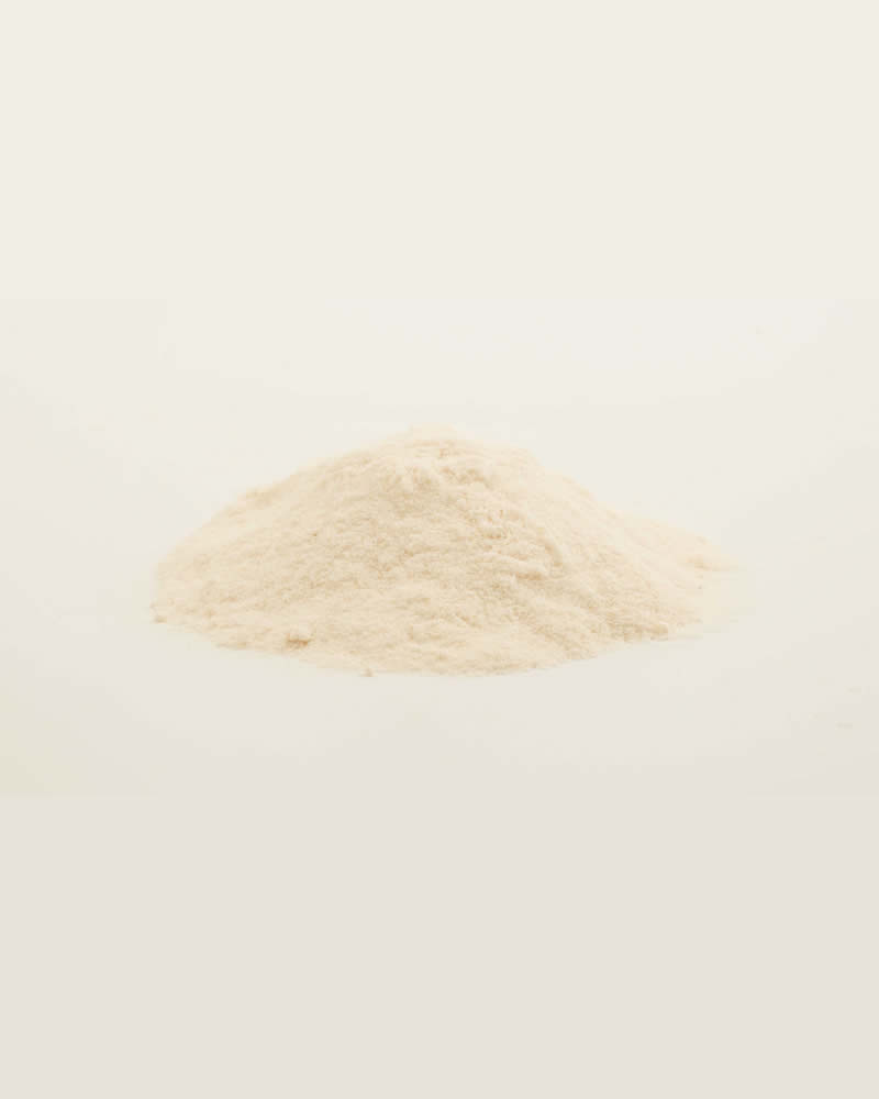 ALPINE RETADERM BC