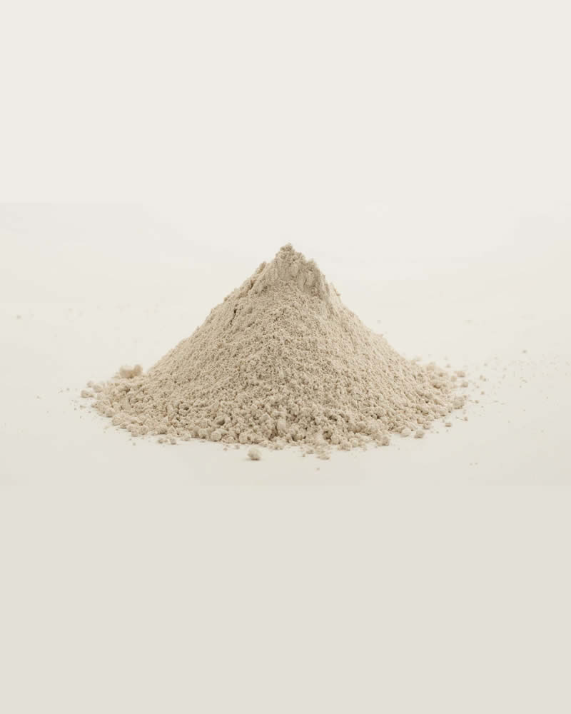 FARBEN SHINE SLIP 248